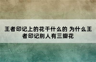 王者印记上的花干什么的 为什么王者印记别人有三瓣花